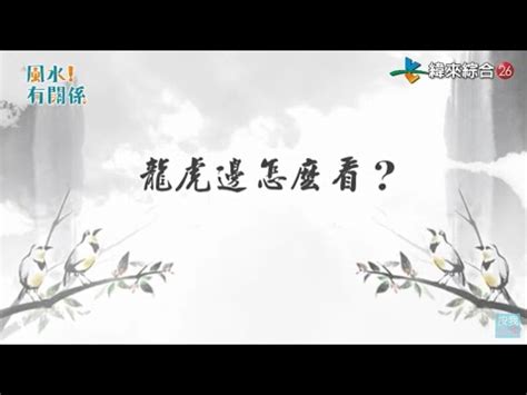 龍邊有路燈|龍邊路燈風水知多少？